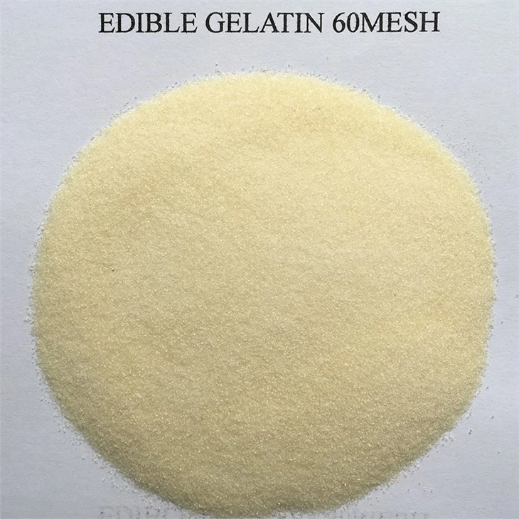 Factory Price Gelatine Halal Kosher Food Grade Gelatin Powder