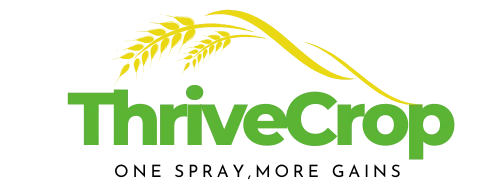 ThriveCrop-Macro-Element Suspension Liquid Fertilizer 2 - ThriveCrop-Macro-Element Suspension Liquid Fertilizer 2 -